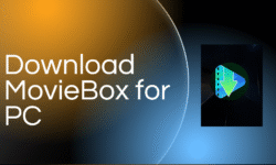 Downlaod Moviebox